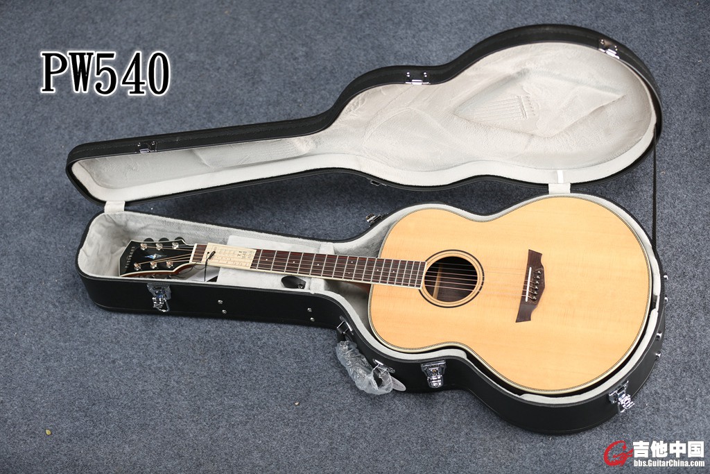 PW540 (12).jpg