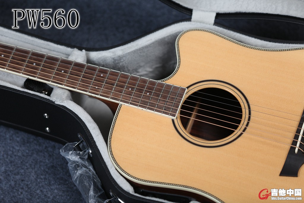 PW560 (5).jpg