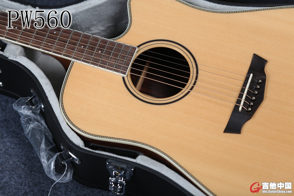 PW560 (6).jpg