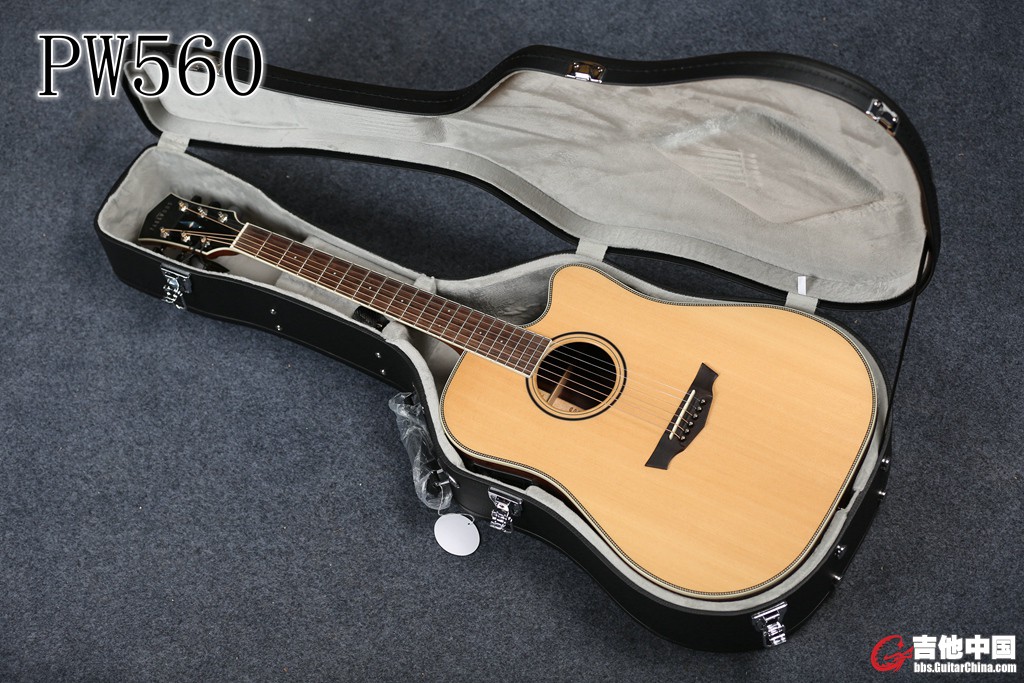 PW560 (20).jpg