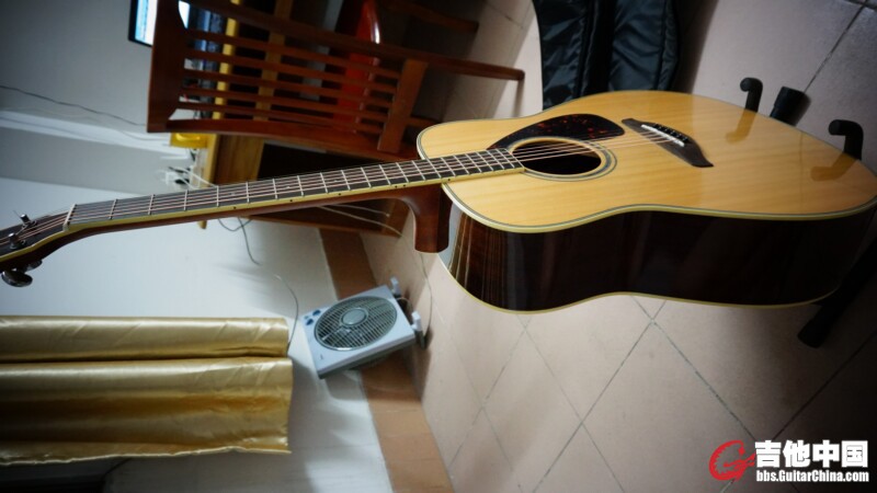 DSC00553.jpg