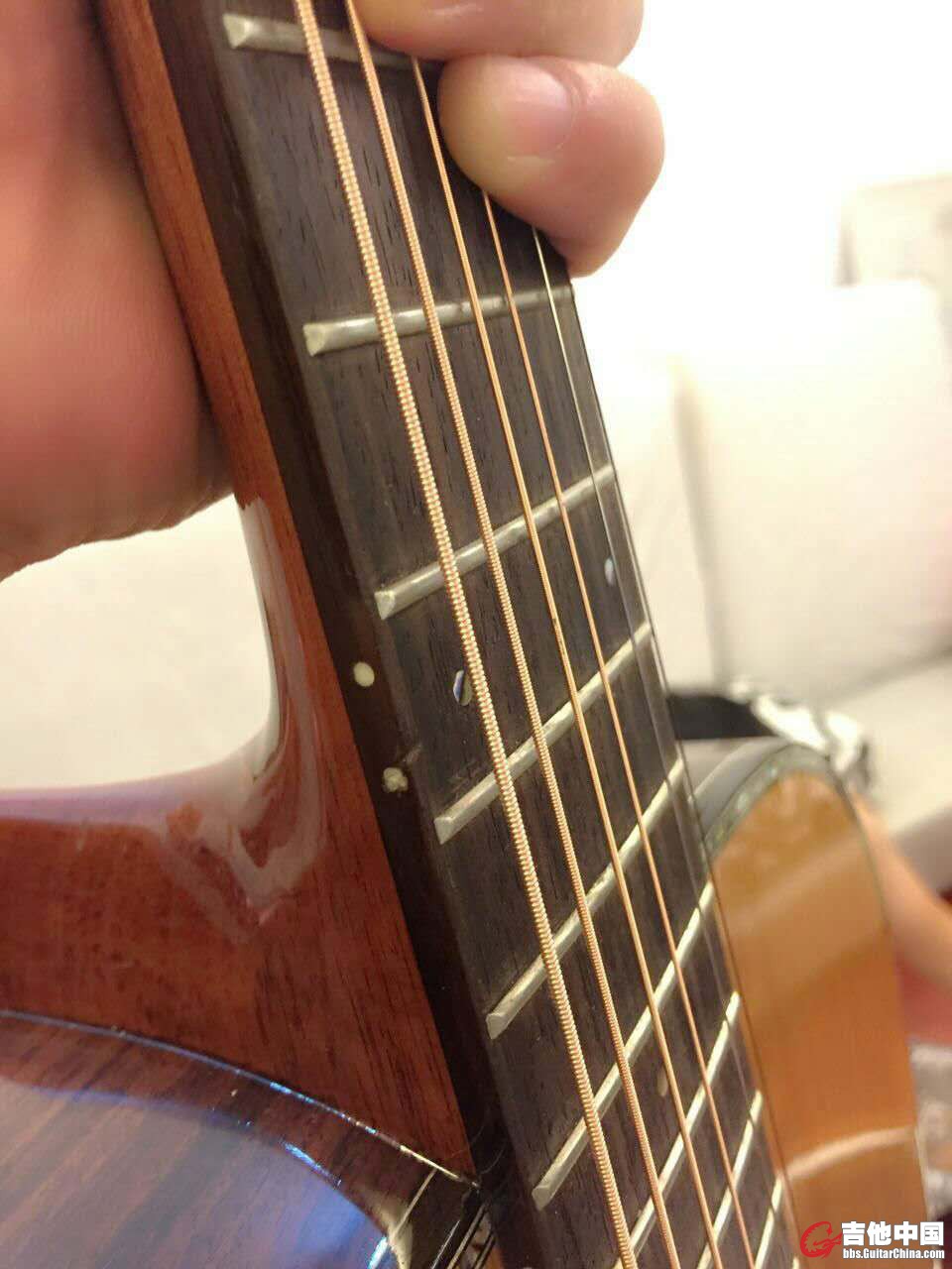 原装琴盒