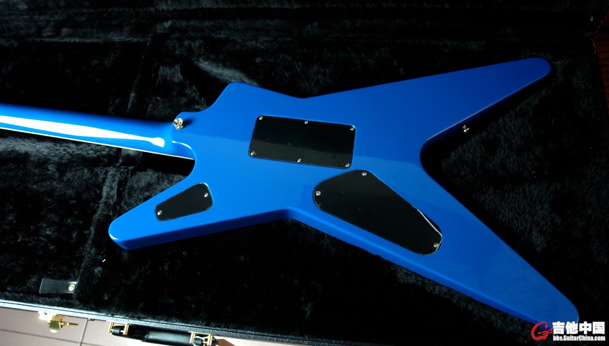 Dean Dimebag Commemorative_8.jpg