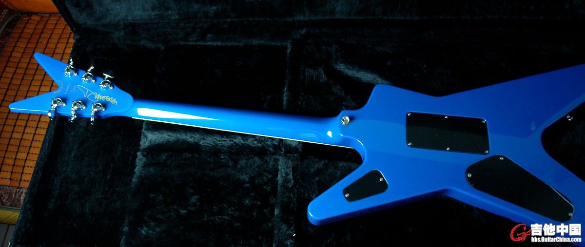 Dean Dimebag Commemorative_9.jpg