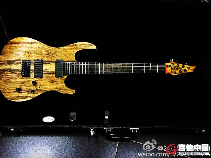 carvin2.jpg