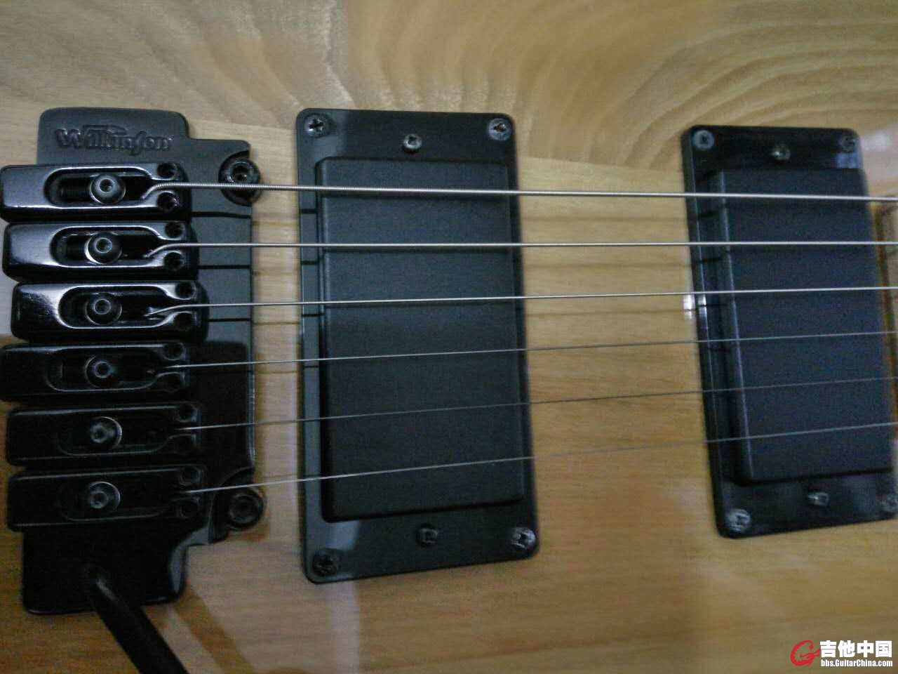 1198837377.jpg