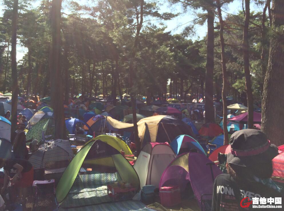 露营的营地在森林里，很聪明的设计．