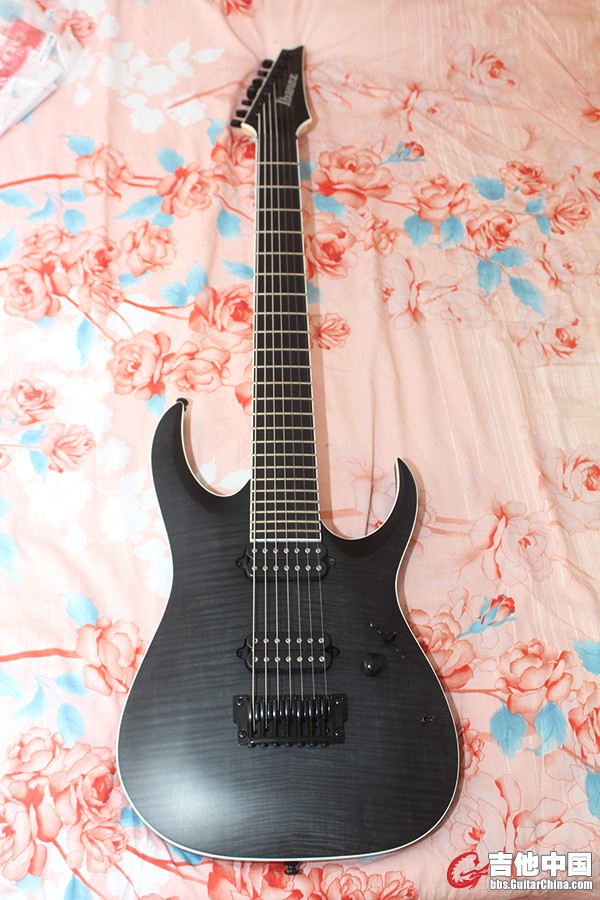 Ibanez01.jpg