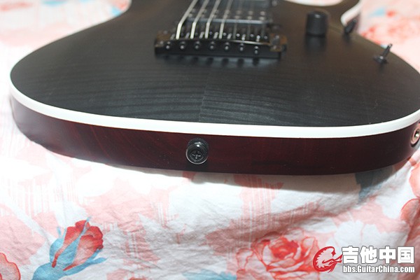 Ibanez05.jpg
