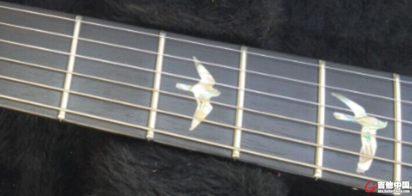 prs乌木