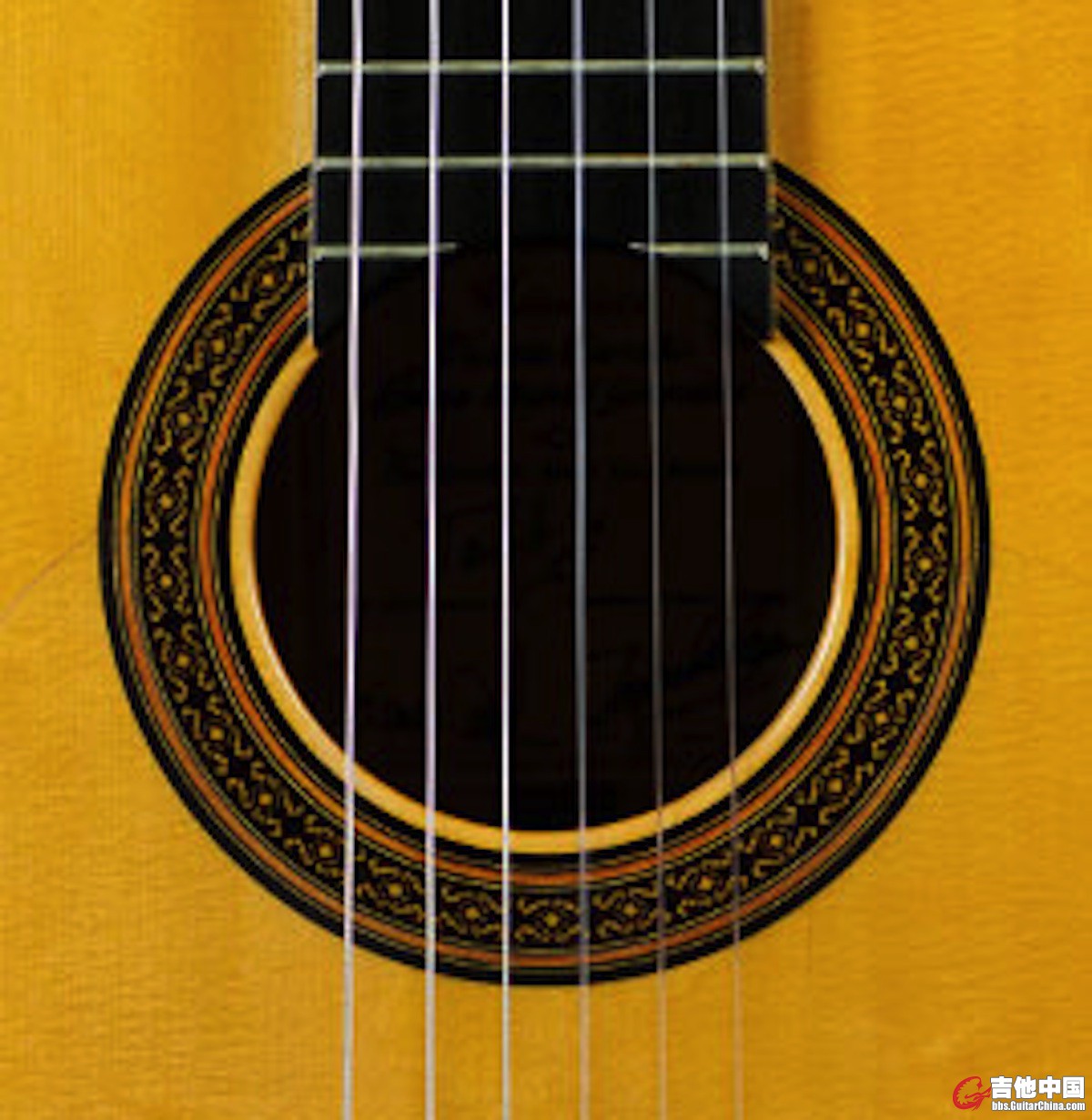 Carrillo-Rosette.jpg