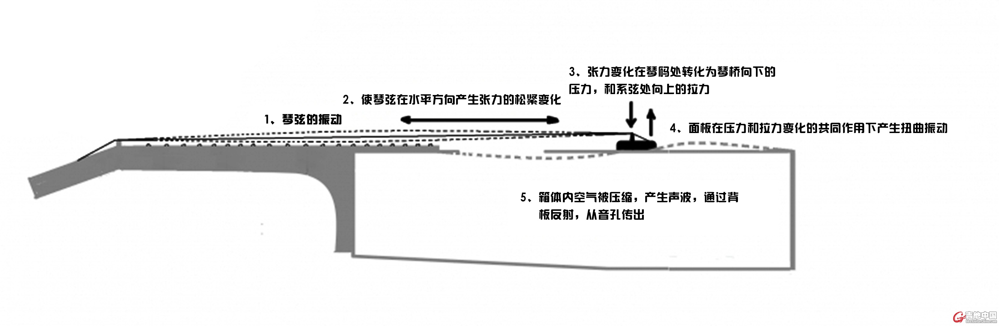 琴的发声原理.jpg