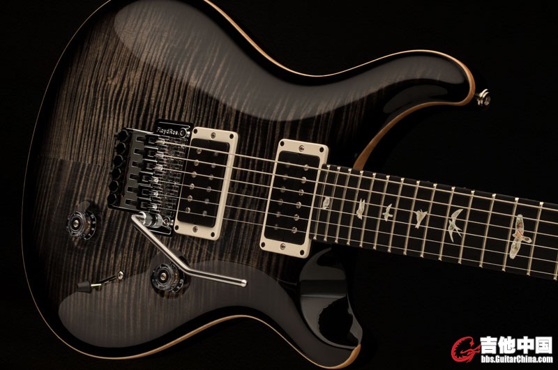 PRS Custom 24 FloydRose 001.jpg