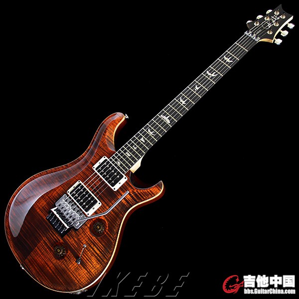 PRS Custom 24 FloydRose 002.jpg