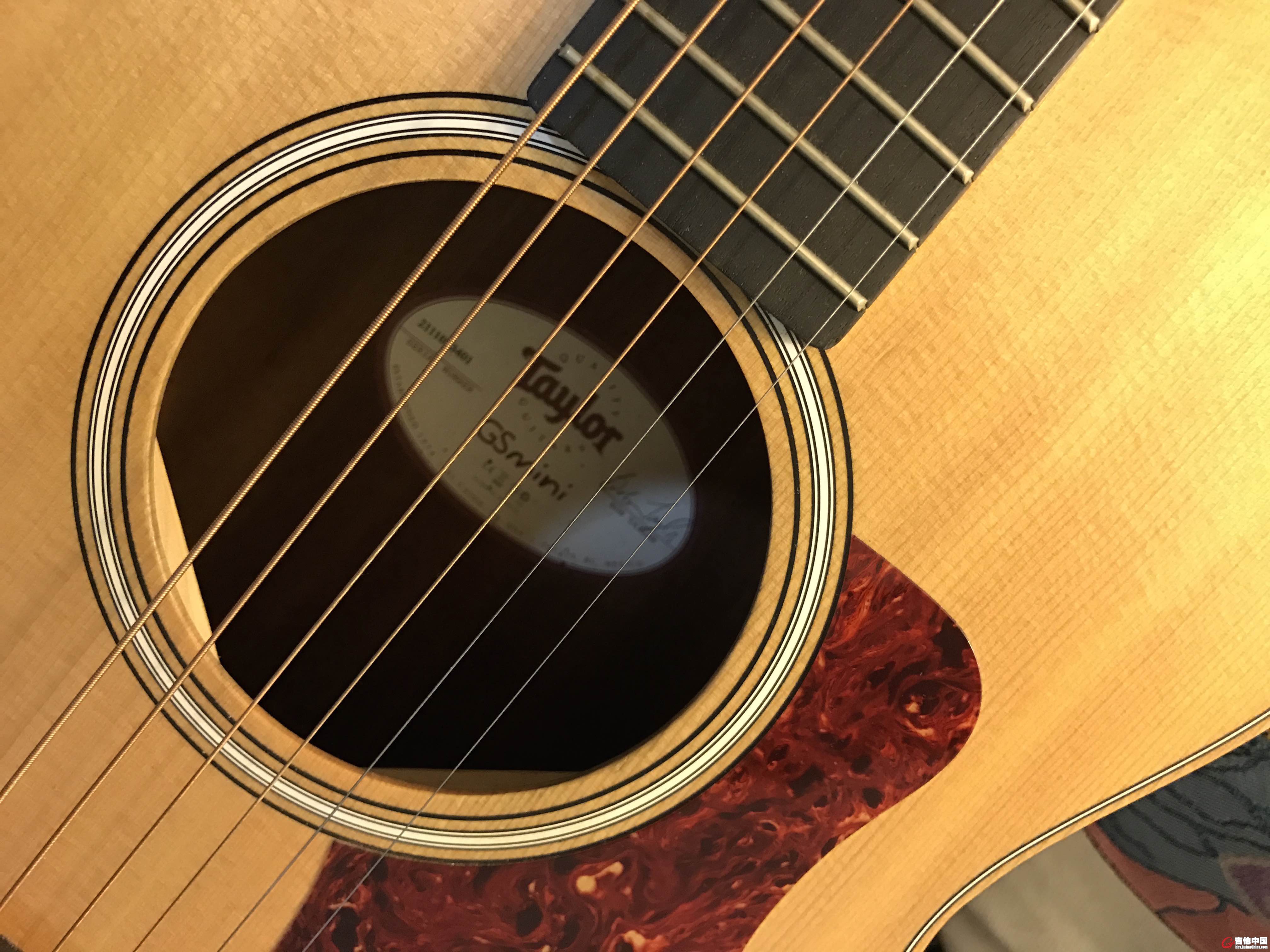 Taylor3.jpg