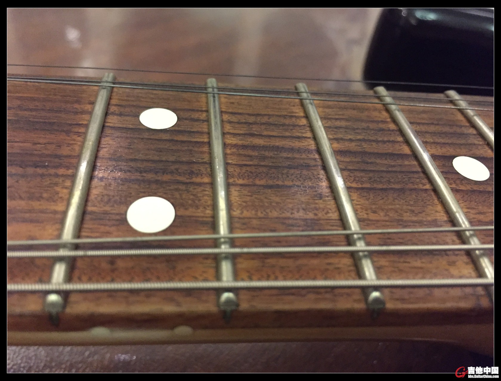 Fender SRV10.jpg