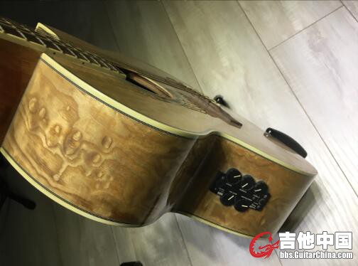 侧板 拾音器