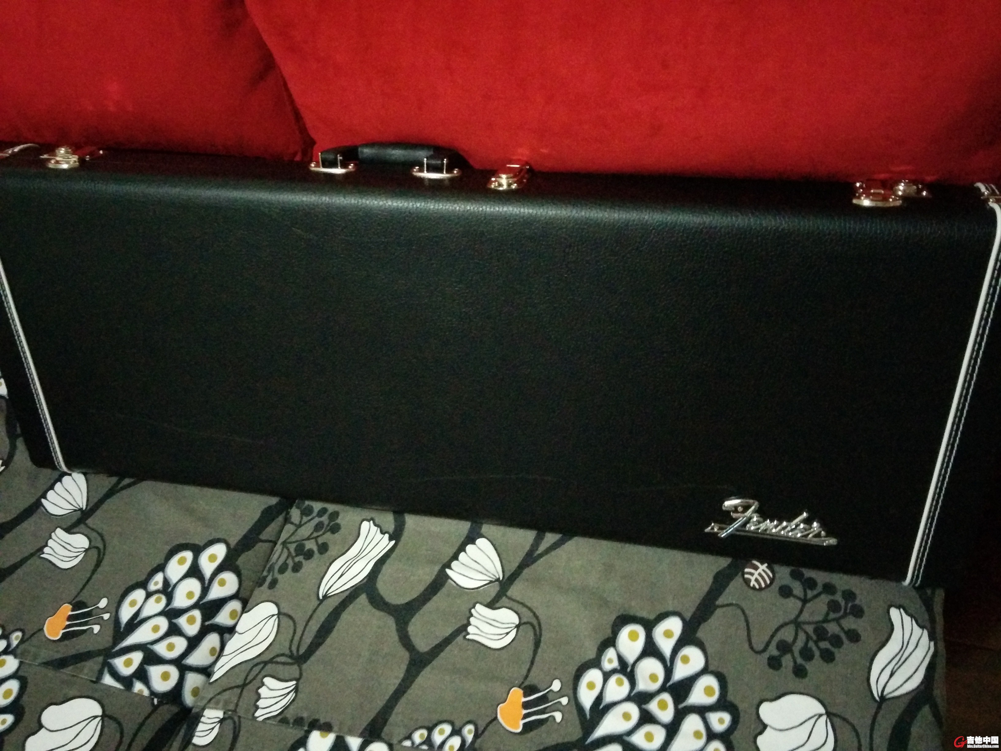 fender琴盒1.jpg