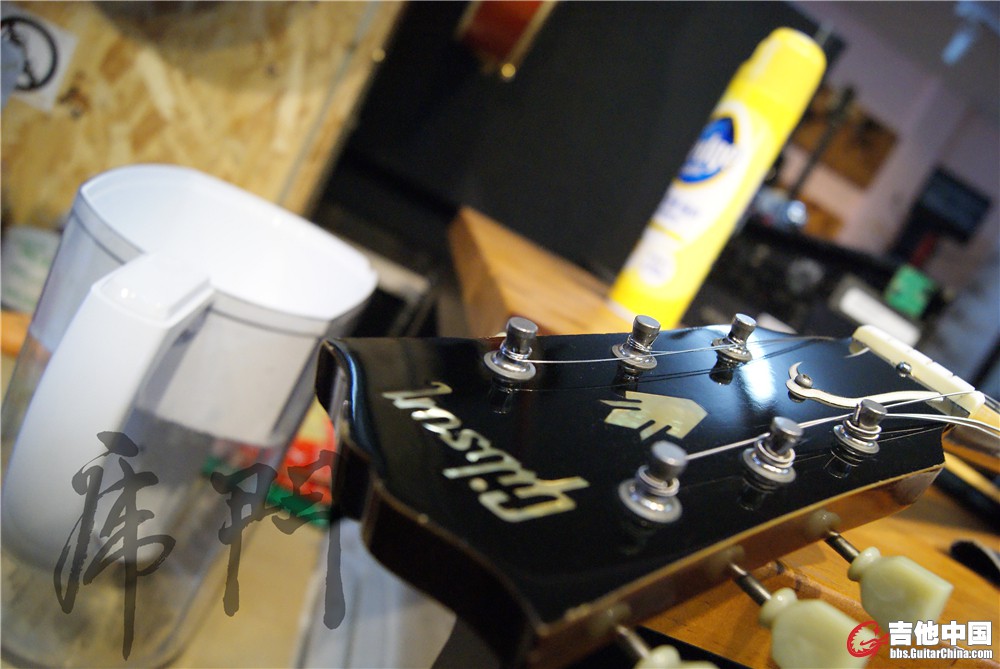 DSC08186.jpg
