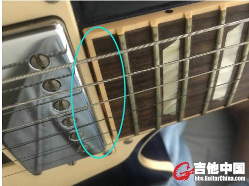 QQ图片20170116173225_副本.jpg