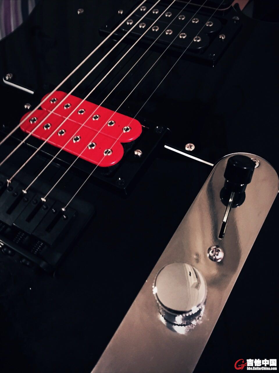480295178.jpg
