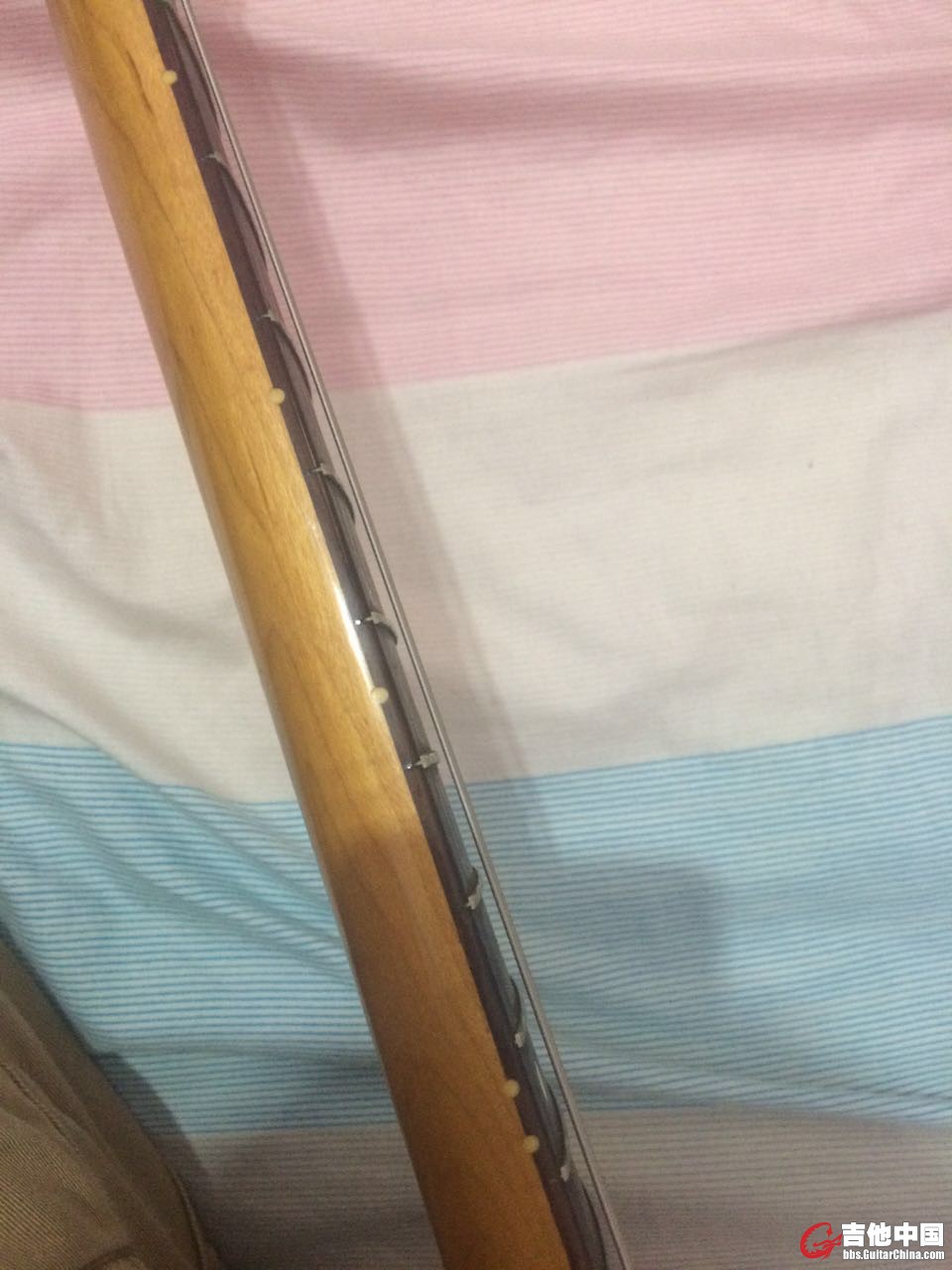 1975302804.jpg