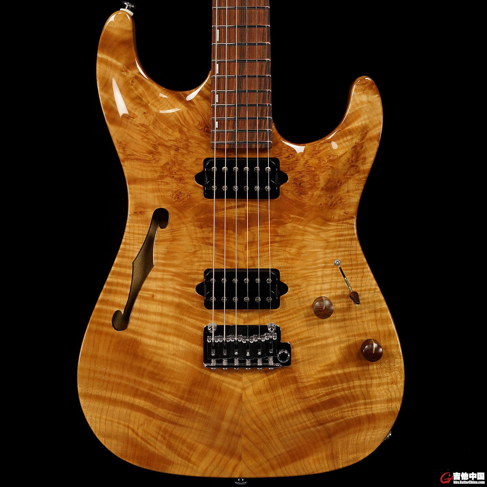 Suhr Archtop_4.jpg