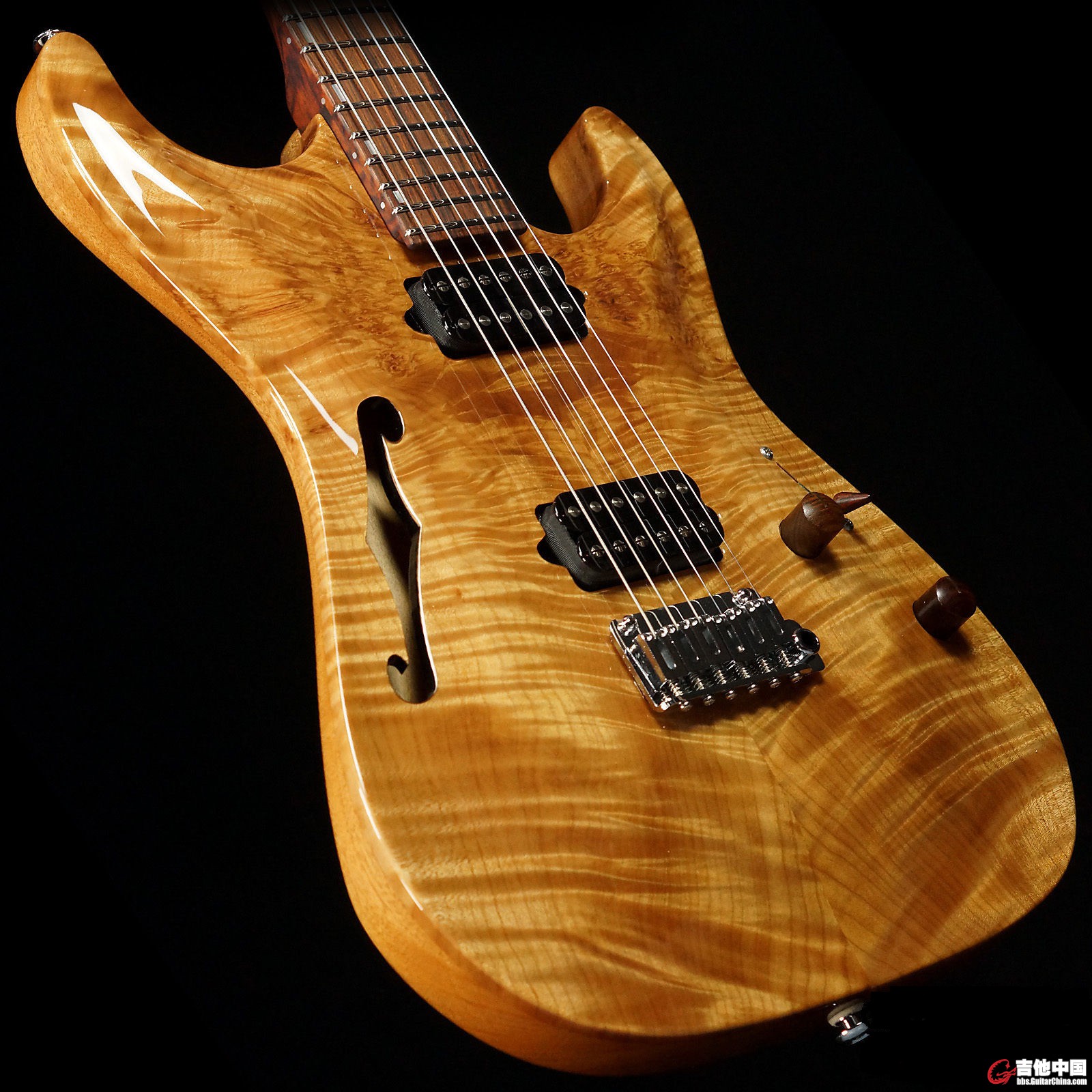 Suhr Archtop_5.jpg