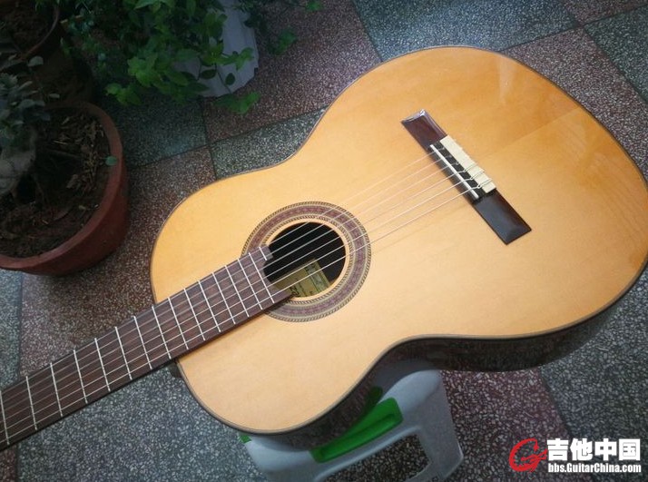 马丁尼9.jpg