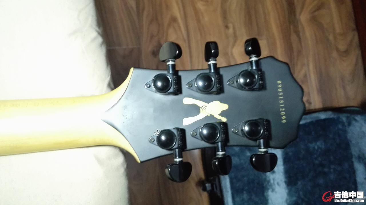 EPIPHONE ZAKK ZV (13).jpg