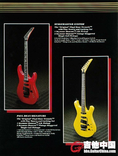 cat87g.jpg
