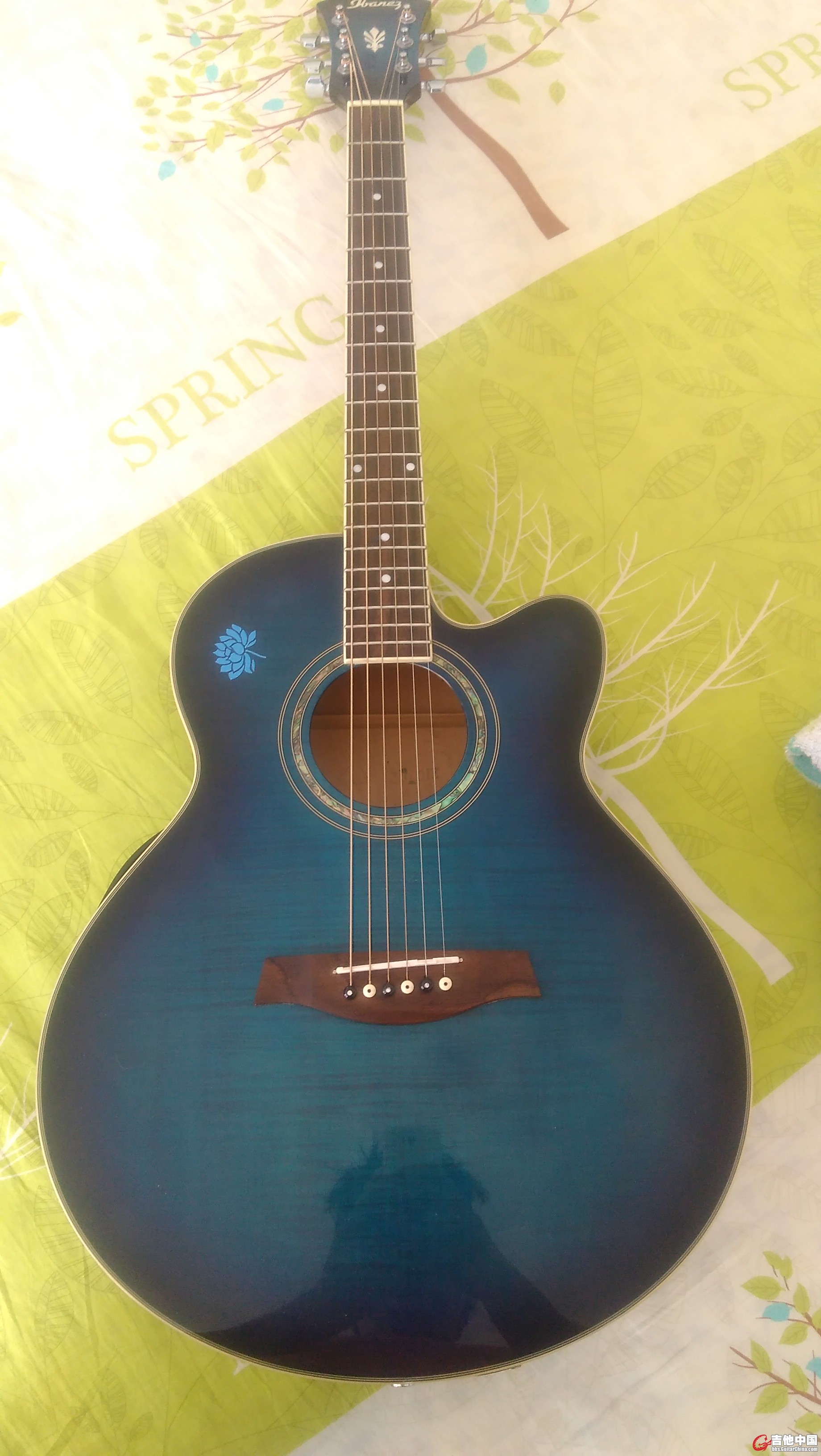ibanez