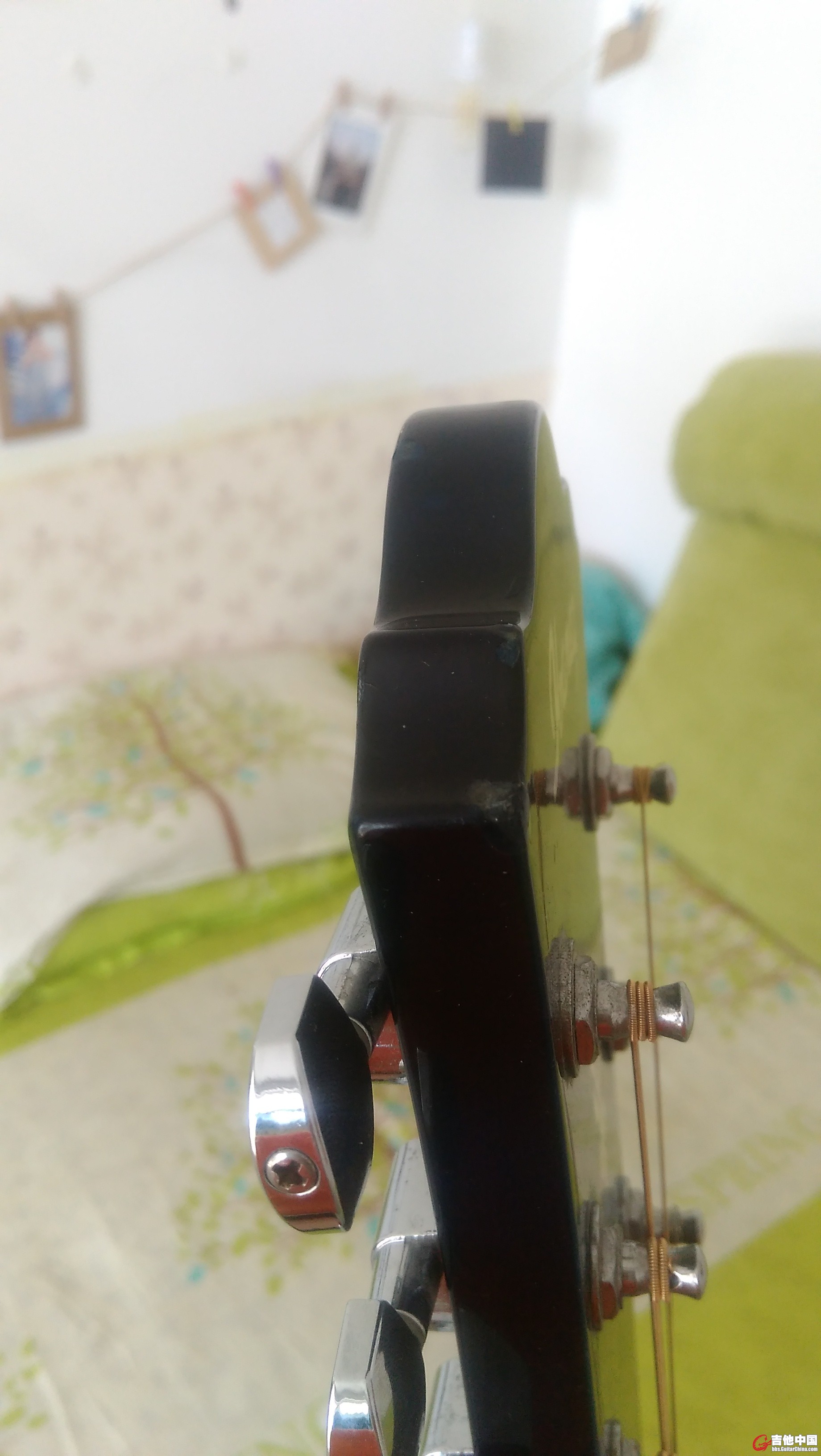 ibanez