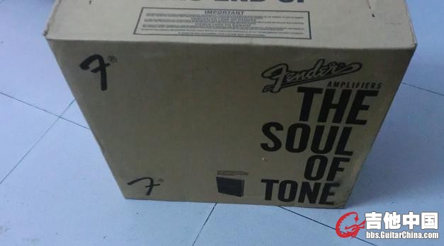 Fender Blues Junior NOS.JPG
