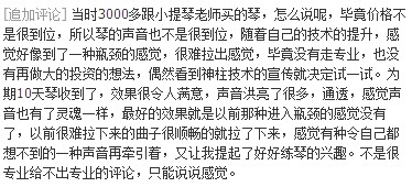 小提琴.JPG
