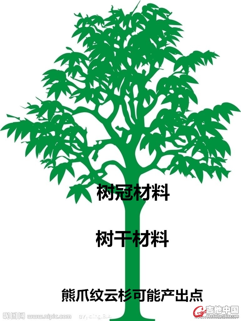 树木