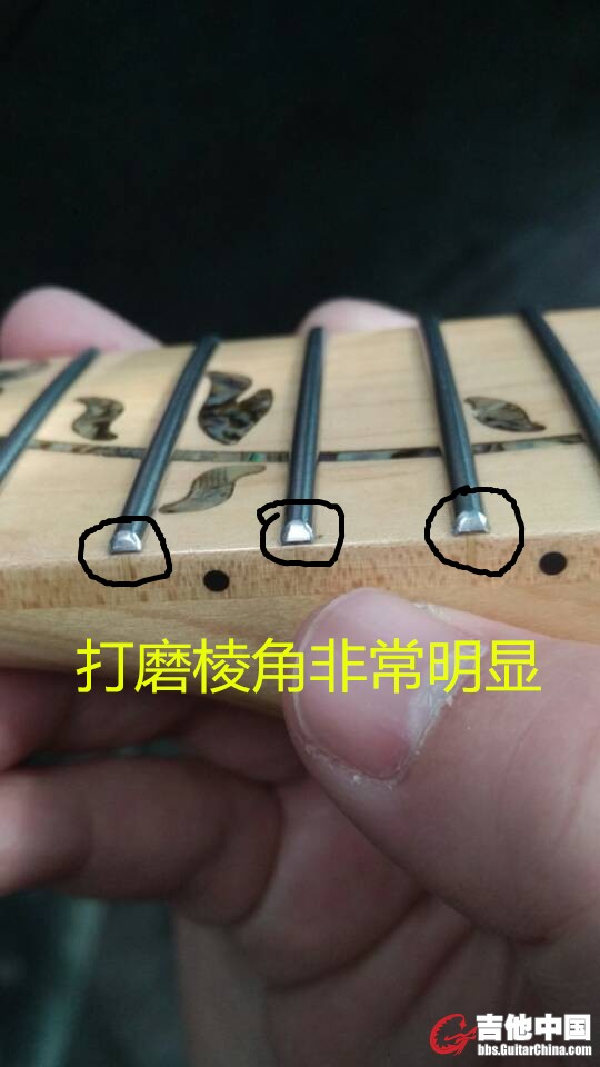 琴颈.jpg