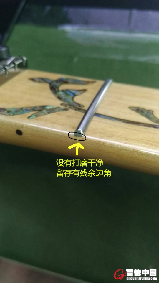 琴颈5.jpg