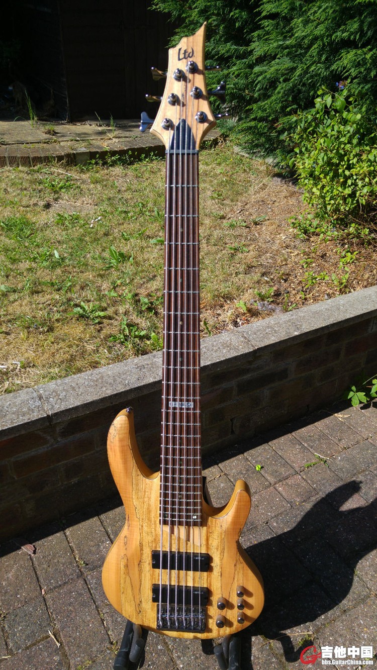 s-l1600.jpg