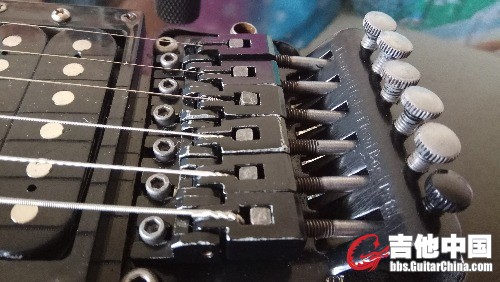 IMG_20170808_115123.jpg