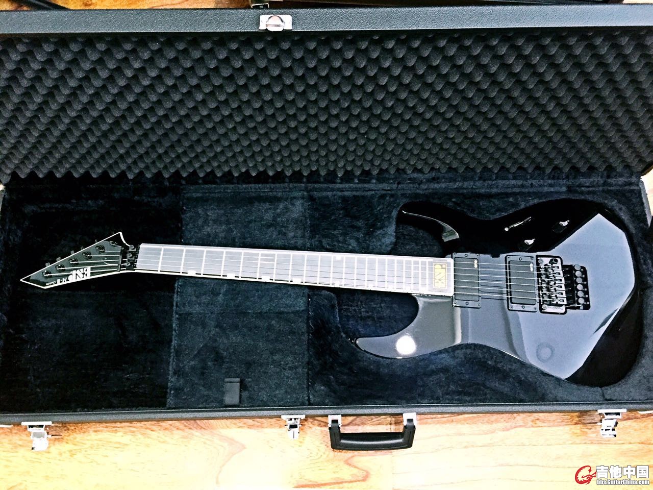 ESP1.jpg