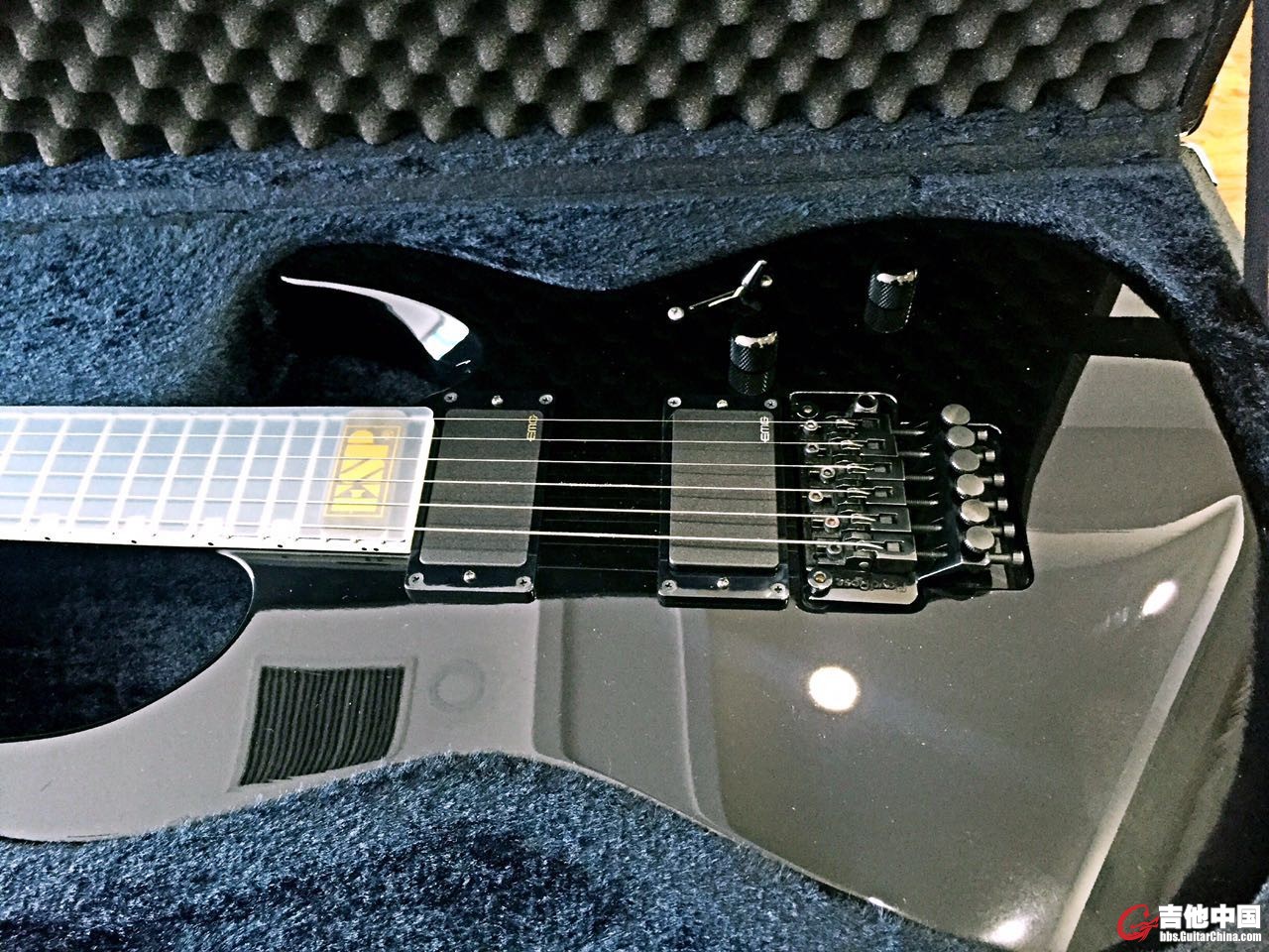 ESP4.jpg