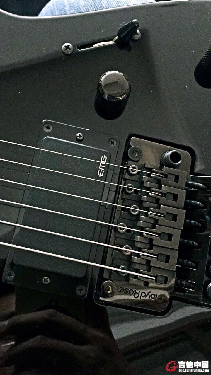 ESP5.jpg