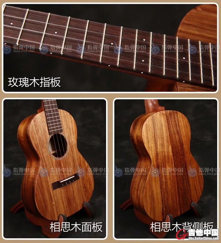 指弹中国的介绍