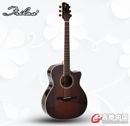 泰拉斯GA-8正面.jpg