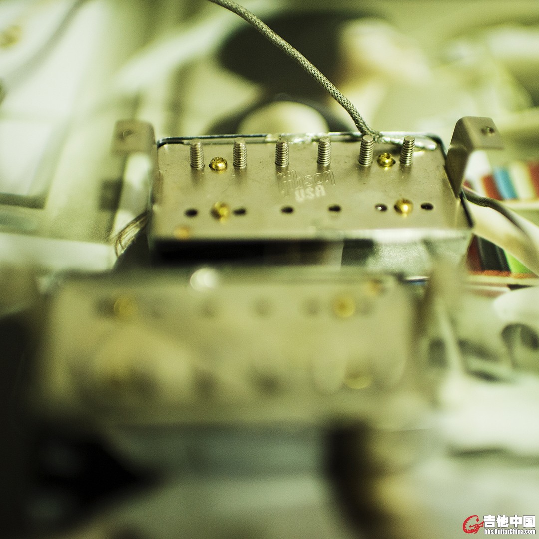 DSC_2395副本.jpg