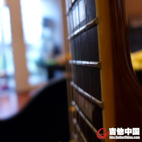 Epi LP STD - Limited Edition Custom Shop_6.JPG