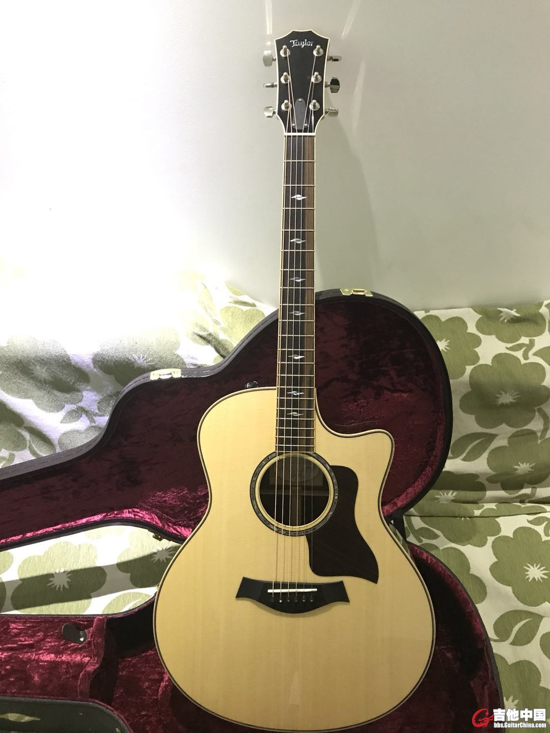 taylor (1).jpg