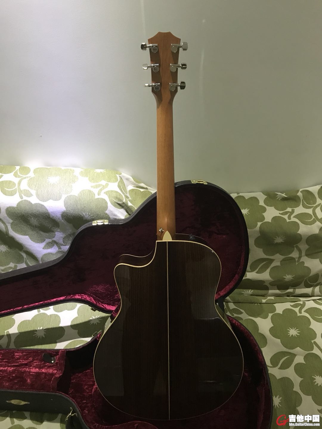 taylor (2).jpg