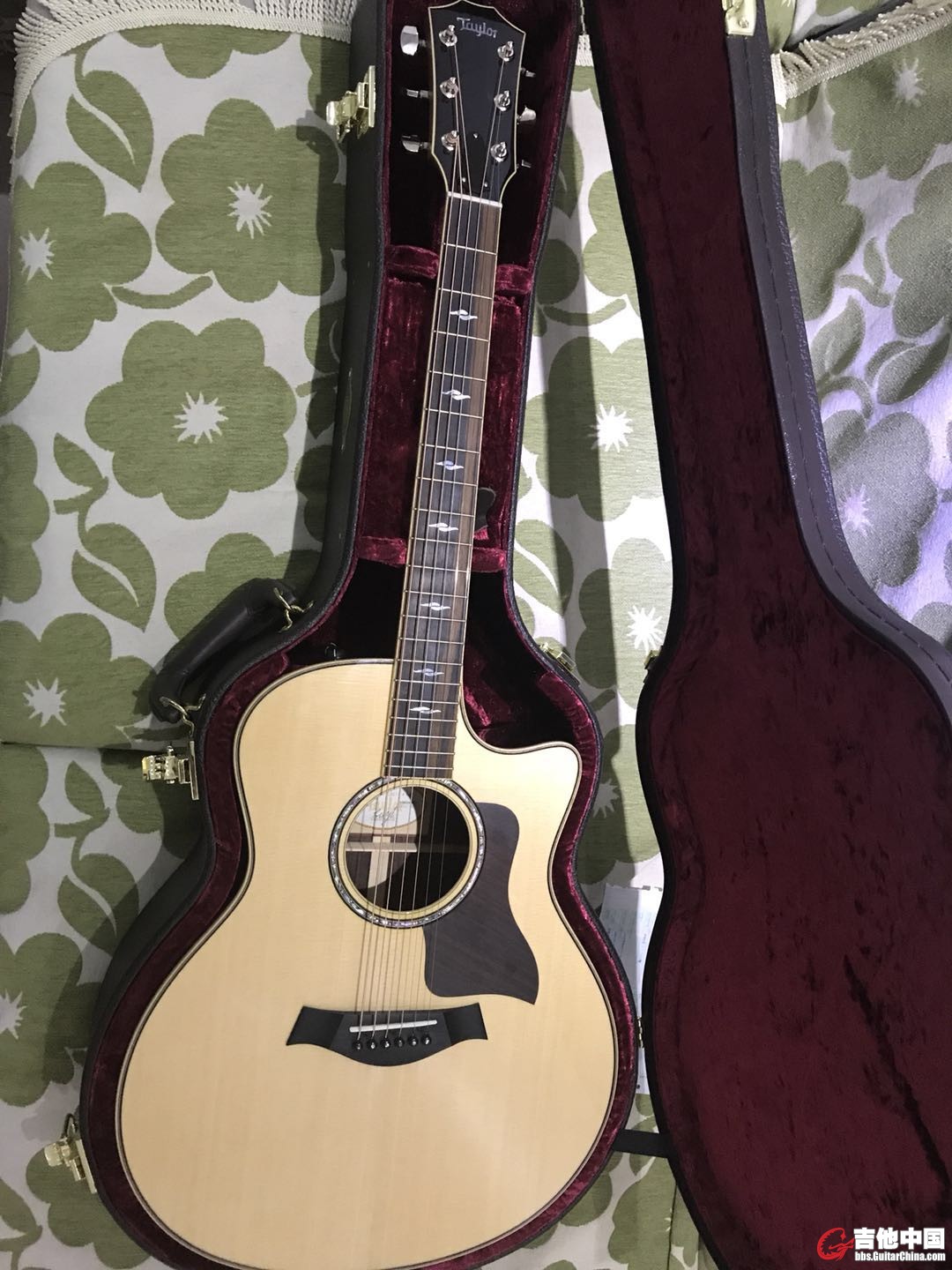 taylor (3).jpg